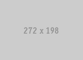 272x198